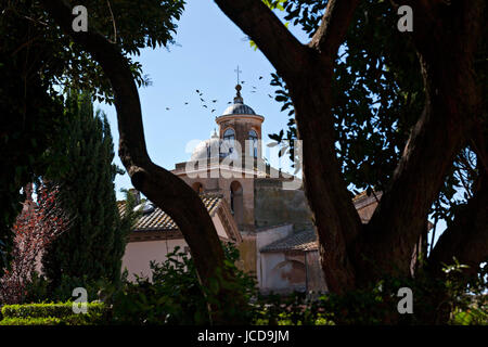 Kirche San Lorenzo (dei Santi Martiri), gesehen durch Bäume, Tuscania, Provinz Viterbo, Latium, Italien Stockfoto