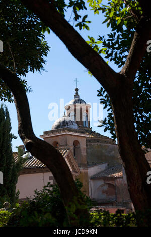 Kirche San Lorenzo (dei Santi Martiri), gesehen durch Bäume, Tuscania, Provinz Viterbo, Latium, Italien Stockfoto