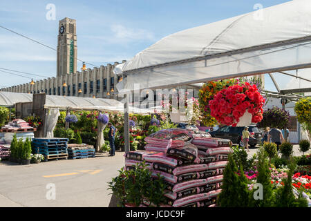 Atwater Market in Montreal, QC, Canada (Juni 2017) Stockfoto