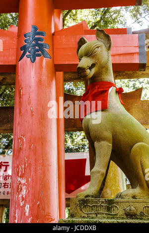 Fushimi Inari-Taisha Schrein, Torii-Tore. und Fox-Statue. Stockfoto