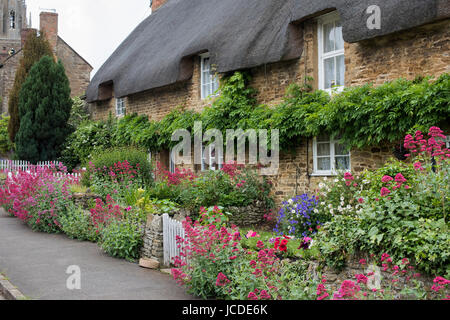 Steinerne Reetdachhaus und floralen Vorgarten im Frühjahr. Des Königs Sutton, Northamptonshire, UK Stockfoto