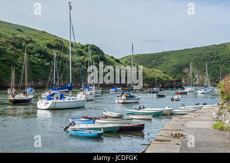 Solva Creek, Hafen, an der Küste von Pembrokeshire, Westwales. Stockfoto