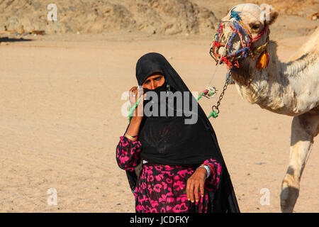 HURGHADA, Ägypten - 24. April 2015: Die alte Frau-Nomadenlager von Beduinen-Dorf in der Wüste Sahara mit ihrem Kamel, Ägypten, HURGHADA am 24. April 2015. Stockfoto