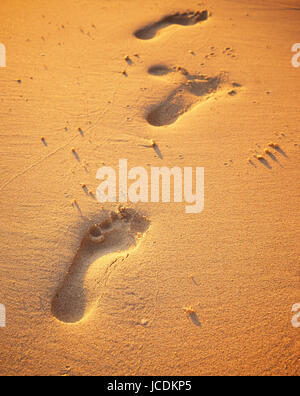 Nahaufnahme der Fußabdrücke auf dem Strandsand auf die goldene Stunde. Stockfoto