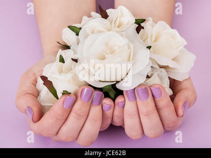 Nahaufnahme von weiblichen Händen mit weißen Rosen auf lila Hintergrund Stockfoto