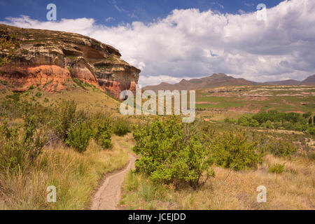 Ein Pfad durch den Golden Gate Highlands National Park in Südafrika. Stockfoto