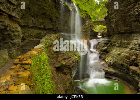 Die Rainbow Falls Wasserfall in Watkins Glen-Schlucht im Staat New York, USA. Stockfoto