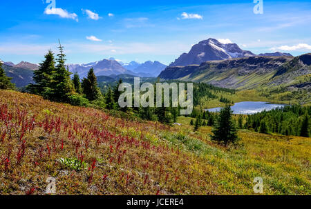Malerische Aussicht auf die Berge in Banff National Park in der Nähe von Ägypten Lake, Alberta, Kanada Stockfoto