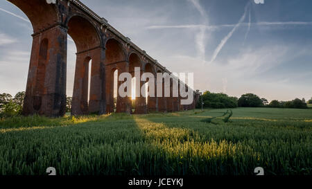 Ouse Valley Viadukt steht Wache über ein Weizenfeld im sonnigen Sussex Stockfoto