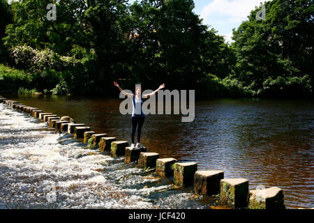 IIkley, UK. 15. Juni 2017. Einem anderen warmen, sonnigen Tag in Ilkley in der Nähe von Leeds, ging diese Frau über die Trittsteine auf dem Fluß Wharfe. Aufgenommen am 15. Juni 2017. Bildnachweis: Andrew Gardner/Alamy Live-Nachrichten Stockfoto