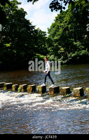 IIkley, UK. 15. Juni 2017. Einem anderen warmen, sonnigen Tag in Ilkley in der Nähe von Leeds, ging diese Frau über die Trittsteine auf dem Fluß Wharfe. Aufgenommen am 15. Juni 2017. Bildnachweis: Andrew Gardner/Alamy Live-Nachrichten Stockfoto