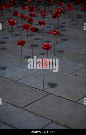 Keramik Mohn, Derby-Spinnerei Stockfoto