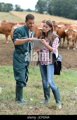 Bauer und Frau in der Kuh-Feld mit tablet Stockfoto
