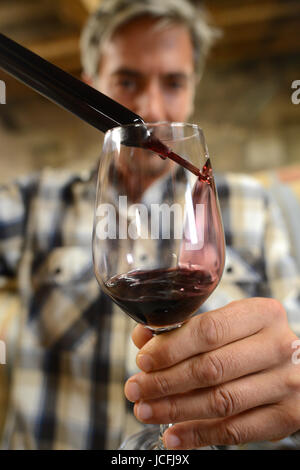 Nahaufnahme von roten Wein Probe in Glas gegossen Stockfoto