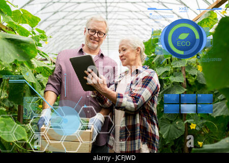 Älteres Paar mit Gurken und TabletPC auf Bauernhof Stockfoto