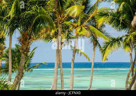 Palmen und Meer im Hintergrund, Entspannung und Urlaub, exotische und tropische Tourismus Stockfoto