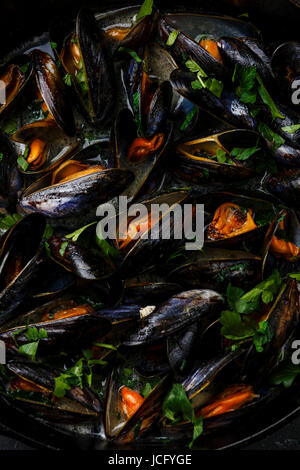 Muscheln in schwarz Kochen Pfanne mit Petersilie Nahaufnahme Stockfoto