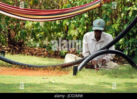 Indian Garden & Blumen Stockfoto