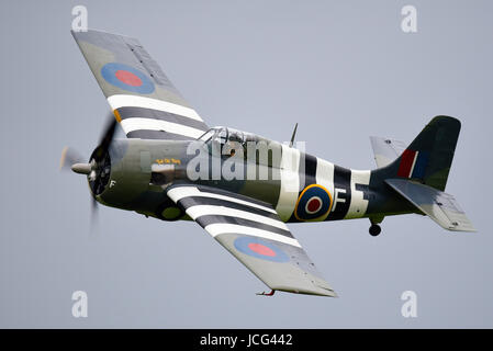 Grumman F4F Wildcat Jagdflugzeug fliegt auf einer Flugschau. Royal Navy Scheme Grumman Martlet, britischer Name Stockfoto