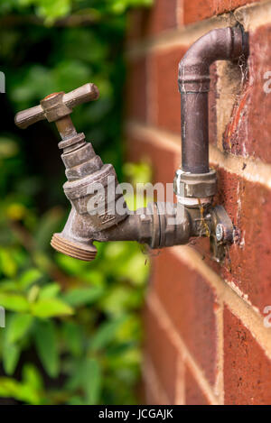 Garten Wasserhahn an der Wand montiert Stockfoto