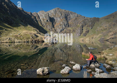 Ein Spaziergänger genießen Sie den Blick über Llyn Cau unterstützt durch Craig Cau, Cadair Idris, Snowdonia National Park, North Wales, UK Stockfoto