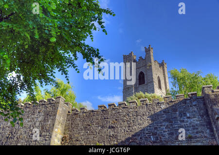 Dublin City Wall, St. Audoens Kirche in Dublin, Irland. Stockfoto