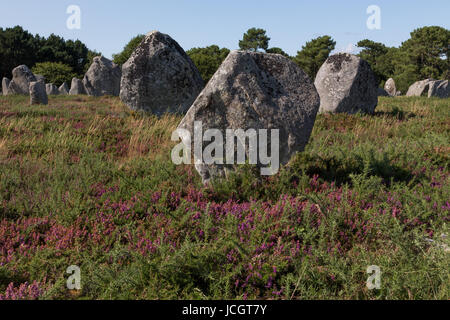 Die Alleen, Steinkreise und Bestattung Hügelgräber am neolithischen Standort in Carnac, Frankreich Stockfoto