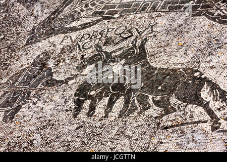 Detail des Mosaiks in der Cisiarii-s-Therme in der Ausgrabungsstätte Ostia Antica - Rom Stockfoto