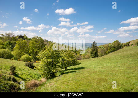 Schönen sonnigen Tag in der Nähe von Llanbedr und Ruthin in den Hügeln des Moel Famau Country Park, Wales. Stockfoto