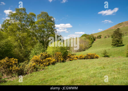 Schönen sonnigen Tag in der Nähe von Llanbedr und Ruthin in den Hügeln des Moel Famau Country Park, Wales. Stockfoto