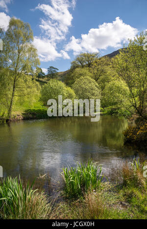 Kleiner See unter den Hügeln des Moel Famau Country Park, Nord-Wales. Stockfoto