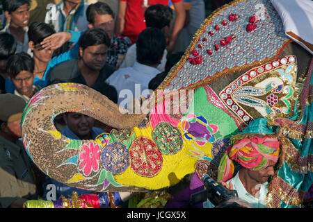 Indischer Elefant (Elephas Maximus Indicus) unter den Massen von Menschen während des jährlichen Festivals der Elefant in Jaipur, Rajasthan, Indien eingerichtet. Stockfoto