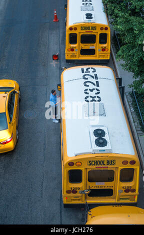 New York City Schulbusse mit einem Fahrer im Gespräch mit anderen Stockfoto