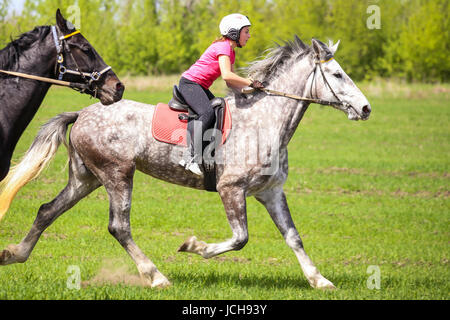 Junges Mädchen in einem Helm auf einem dapple-grey Pferd auf einer Wiese. Stockfoto