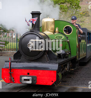 Ravenglass und Eskdale Railway Dampflok River Irt kommt mit dem Zug für die Rückkehr nach Ravenglass mit Union Jack-Flaggen auf der Lok Stockfoto