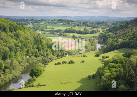 Der Fluss Wye von Symonds Yat, Herefordshire, England, Uk Stockfoto