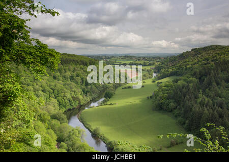 Der Fluss Wye von Symonds Yat, Herefordshire, England, Uk Stockfoto