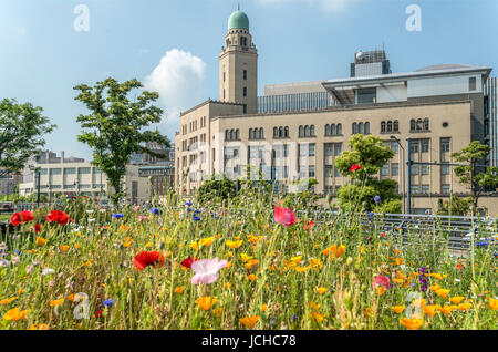 Yokohama Zollmuseum von der Zou No Hana Terrasse aus gesehen, Yokohama, Kanagawa, Japan, mit Frühlingsblumen im Vordergrund Stockfoto