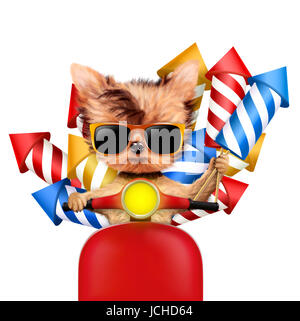 Lustiger Hund tragen Feuerwerk Raketen isoliert auf weißem Hintergrund. Geburtstag und Party-Konzept. Realistische 3D Darstellung. Stockfoto