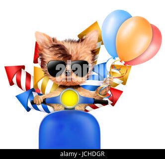 Lustiger Hund tragen Feuerwerk Raketen und Ballons isoliert auf weißem Hintergrund. Geburtstag und Party-Konzept. Realistische 3D Darstellung. Stockfoto