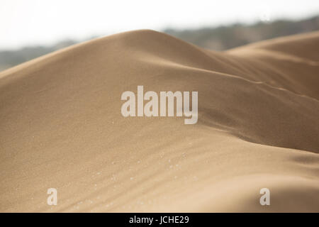 Nahaufnahme einer Düne mit Sand in Sidi Kaouki, Marokko Stockfoto