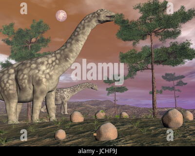 Argentinosaurus Dinosaurier Essen an der Spitze des Baumes durch die Nacht-3D render Stockfoto