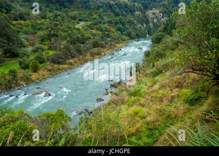 Natur Landschaftsfoto von kristallklaren blauen Pools im Welterbe aufgeführt Mount Aspiring National Park, Neuseeland. Stockfoto