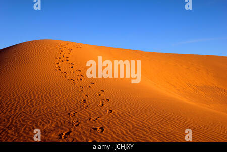 Wunderschöne Natur anzeigen - große Barchan mit Welligkeit Sand und menschliche Fußabdrücke auf dem Hintergrund der strahlend blauer Himmel, Sonnenuntergang in der Wüste Maranjab, Iran Stockfoto