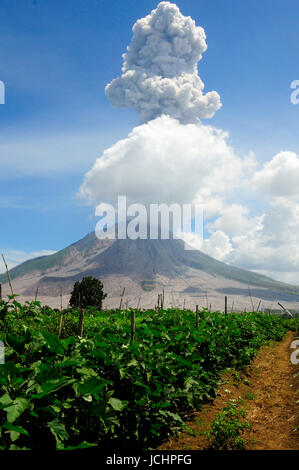 Indonesien. 15. Juni 2017. Das Wachstum der Lava dome Mount Sinabung, es wird immer größer, da der Lavadom Zusammenbruch letzten April 2017. Bildnachweis: Tsabirin Manurung/Pacific Press/Alamy Live-Nachrichten Stockfoto