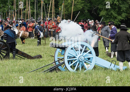 Royalistische Armee / Cavaliers Abfeuern einer Kanone in der Schlacht bei einer versiegelt Knoten English Civil war Reenactment-Ereignis. Charlton Park, Malmesbury, Wiltshire, UK. Stockfoto