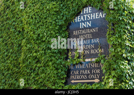 Das Wheatsheaf Inn Zeichen umgeben von Boston-Efeu im Frühling. Cotswolds Northleach, Gloucestershire, England Stockfoto