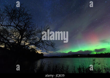 Aurora Borealis über Balgavies Loch, Forfar Stockfoto