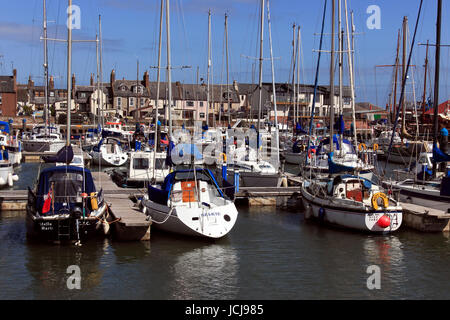 Yachten im Hafen in Arbroath Hafen, Schottland, UK Stockfoto