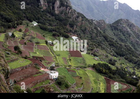 Die Montanas de Anaga im Nordosten der Insel Teneriffa auf die Inseln der Kanaren Spanien im Atlantik. Stockfoto